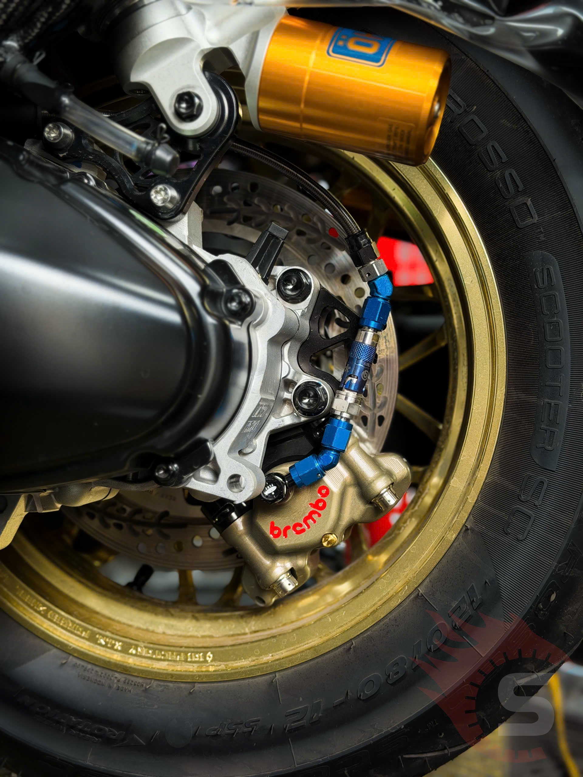 Heo Brembo MOTO3 logo đỏ và phuộc sau Ohlins trên Lambretta