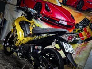 dan ppf tpu exciter 1